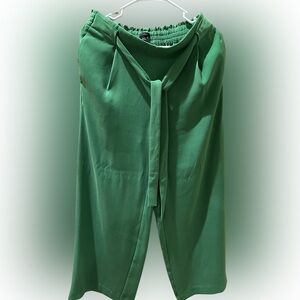 Ann Taylor Factory Green Tie-Waist Ankle-Length Pants – Size Small - EUC
